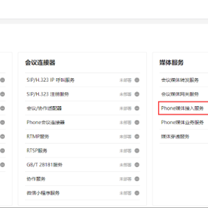 YL-实现点对点音频通话