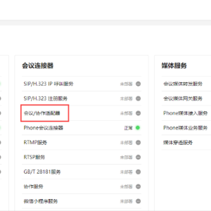 YL-实现亿联二代终端点对点/音视频通话